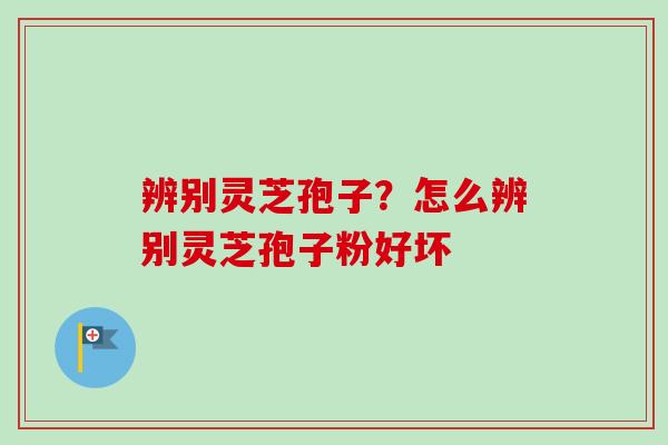 辨别灵芝孢子？怎么辨别灵芝孢子粉好坏-第1张图片-卓越灵芝孢子粉