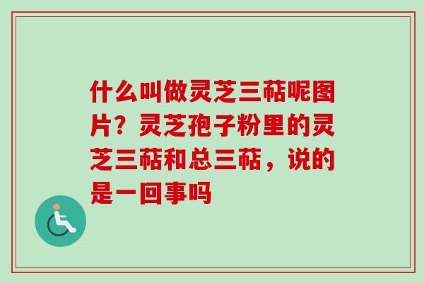 什么叫做灵芝三萜呢图片?灵芝孢子粉里的灵芝三萜和总三萜,说的是一回事吗-第1张图片-卓越灵芝孢子粉 什么叫做灵芝三萜呢图片?灵芝孢子粉里的灵芝三萜和总三萜,说的是一回事吗-第1张图片-卓越灵芝孢子粉