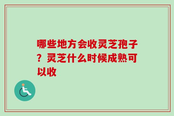 哪些地方会收灵芝孢子?灵芝什么时候成熟可以收-第1张图片-卓越灵芝孢子粉 哪些地方会收灵芝孢子?灵芝什么时候成熟可以收-第1张图片-卓越灵芝孢子粉
