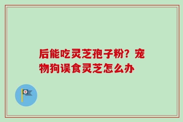 后能吃灵芝孢子粉？宠物狗误食灵芝怎么办-第1张图片-卓越灵芝孢子粉