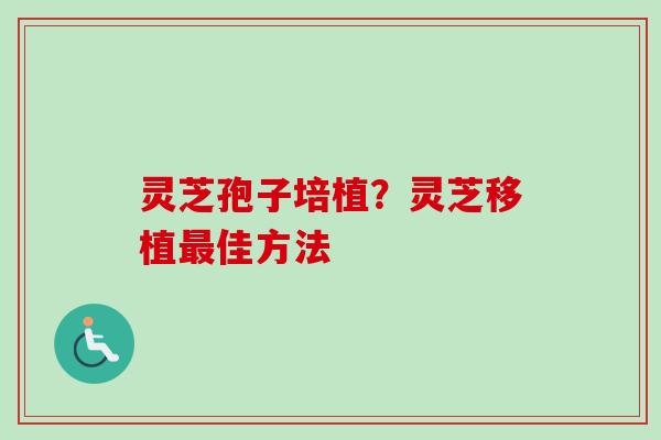 灵芝孢子培植?灵芝移植最佳方法-第1张图片-卓越灵芝孢子粉 灵芝孢子培植?灵芝移植最佳方法-第1张图片-卓越灵芝孢子粉