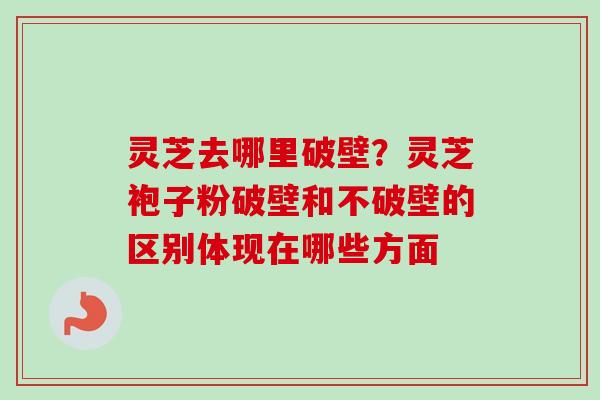 灵芝去哪里破壁？灵芝袍子粉破壁和不破壁的区别体现在哪些方面-第1张图片-卓越灵芝孢子粉