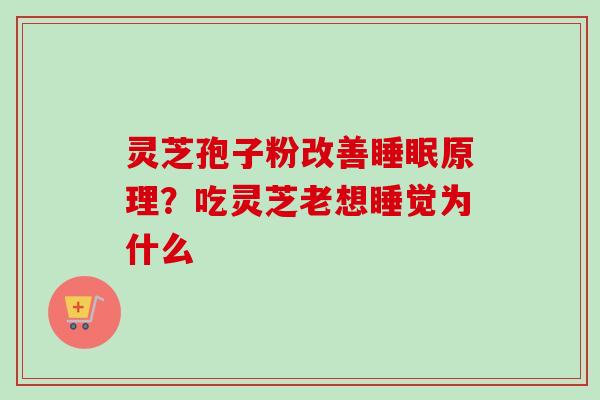 灵芝孢子粉改善睡眠原理？吃灵芝老想睡觉为什么-第1张图片-卓越灵芝孢子粉