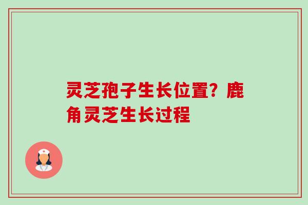 灵芝孢子生长位置?鹿角灵芝生长过程-第1张图片-卓越灵芝孢子粉 灵芝孢子生长位置?鹿角灵芝生长过程-第1张图片-卓越灵芝孢子粉