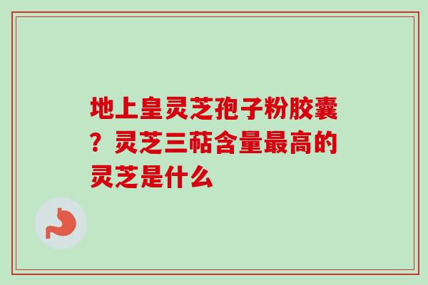 地上皇灵芝孢子粉胶囊?灵芝三萜含量最高的灵芝是什么-第1张图片-卓越灵芝孢子粉 地上皇灵芝孢子粉胶囊?灵芝三萜含量最高的灵芝是什么-第1张图片-卓越灵芝孢子粉