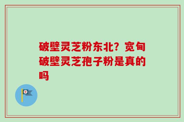 破壁灵芝粉东北？宽甸破壁灵芝孢子粉是真的吗-第1张图片-卓越灵芝孢子粉