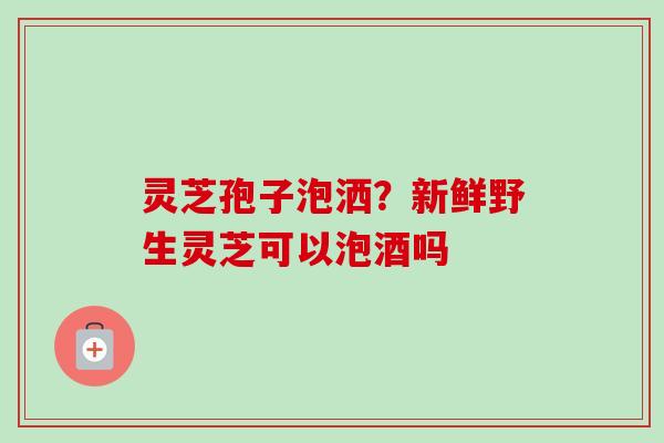 灵芝孢子泡洒？新鲜野生灵芝可以泡酒吗-第1张图片-卓越灵芝孢子粉