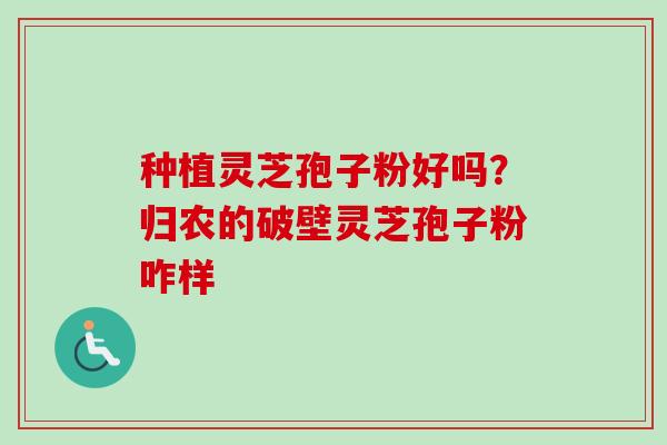 种植灵芝孢子粉好吗?归农的破壁灵芝孢子粉咋样-第1张图片-卓越灵芝孢子粉 种植灵芝孢子粉好吗?归农的破壁灵芝孢子粉咋样-第1张图片-卓越灵芝孢子粉