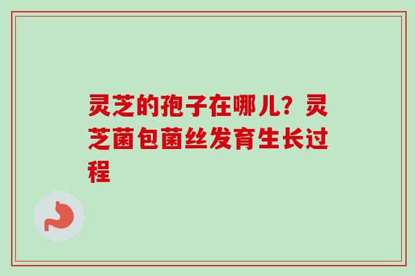 灵芝的孢子在哪儿？灵芝菌包菌丝发育生长过程-第1张图片-卓越灵芝孢子粉