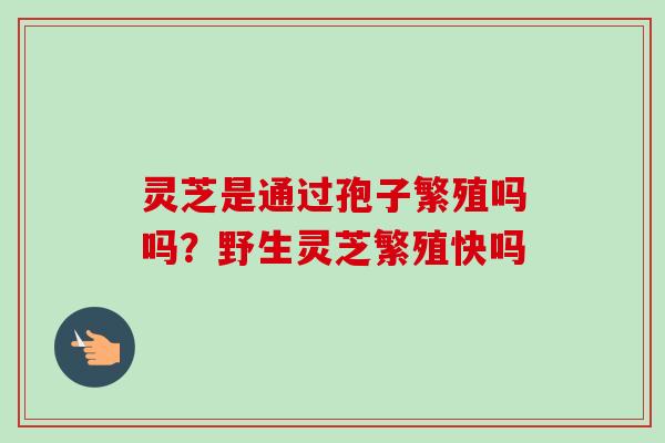 灵芝是通过孢子繁殖吗吗？野生灵芝繁殖快吗-第1张图片-卓越灵芝孢子粉