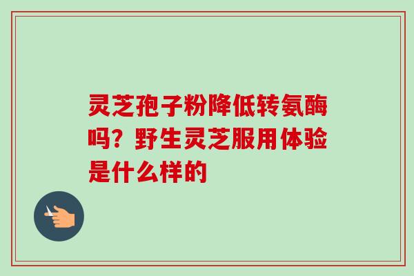 灵芝孢子粉降低转氨酶吗?野生灵芝服用体验是什么样的-第1张图片-卓越灵芝孢子粉 灵芝孢子粉降低转氨酶吗?野生灵芝服用体验是什么样的-第1张图片-卓越灵芝孢子粉