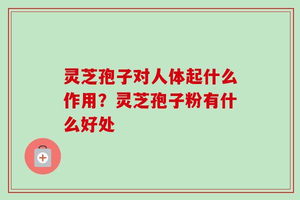 灵芝孢子对人体起什么作用？灵芝孢子粉有什么好处-第1张图片-卓越灵芝孢子粉