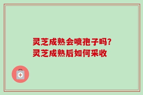 灵芝成熟会喷孢子吗?灵芝成熟后如何采收-第1张图片-卓越灵芝孢子粉 灵芝成熟会喷孢子吗?灵芝成熟后如何采收-第1张图片-卓越灵芝孢子粉