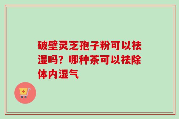 破壁灵芝孢子粉可以祛湿吗？哪种茶可以祛除体内湿气-第1张图片-卓越灵芝孢子粉