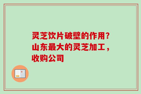 灵芝饮片破壁的作用?山东最大的灵芝加工,收购公司-第1张图片-卓越灵芝孢子粉 灵芝饮片破壁的作用?山东最大的灵芝加工,收购公司-第1张图片-卓越灵芝孢子粉