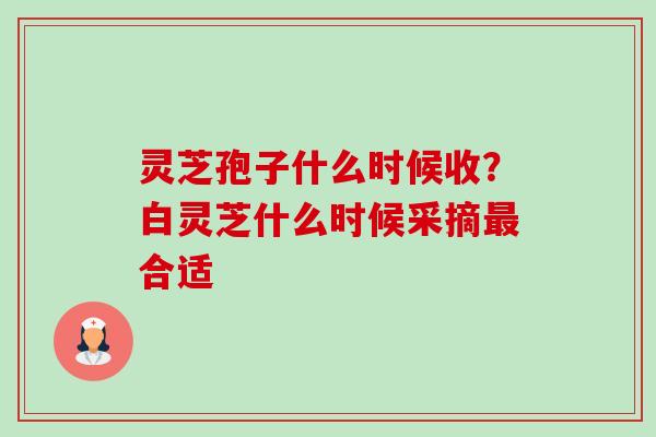 灵芝孢子什么时候收?白灵芝什么时候采摘最合适-第1张图片-卓越灵芝孢子粉 灵芝孢子什么时候收?白灵芝什么时候采摘最合适-第1张图片-卓越灵芝孢子粉