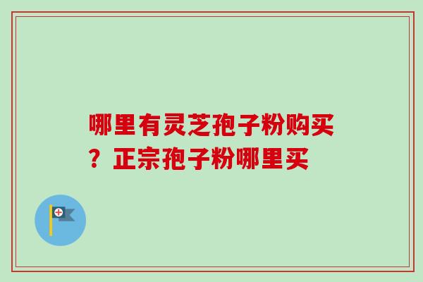 哪里有灵芝孢子粉购买?正宗孢子粉哪里买-第1张图片-卓越灵芝孢子粉 哪里有灵芝孢子粉购买?正宗孢子粉哪里买-第1张图片-卓越灵芝孢子粉