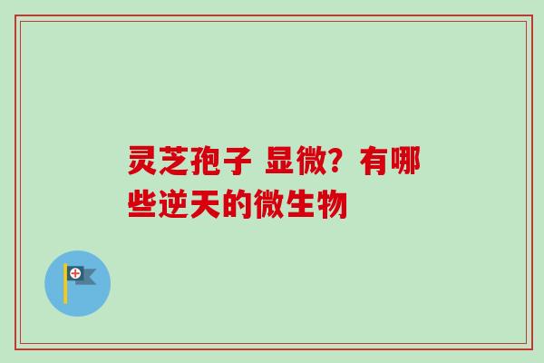 灵芝孢子 显微?有哪些逆天的微生物-第1张图片-卓越灵芝孢子粉 灵芝孢子 显微?有哪些逆天的微生物-第1张图片-卓越灵芝孢子粉