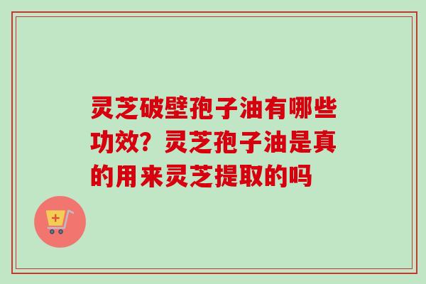 灵芝破壁孢子油有哪些功效？灵芝孢子油是真的用来灵芝提取的吗-第1张图片-卓越灵芝孢子粉