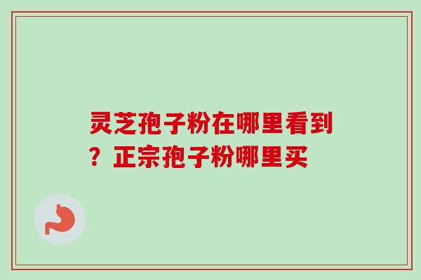 灵芝孢子粉在哪里看到?正宗孢子粉哪里买-第1张图片-卓越灵芝孢子粉 灵芝孢子粉在哪里看到?正宗孢子粉哪里买-第1张图片-卓越灵芝孢子粉