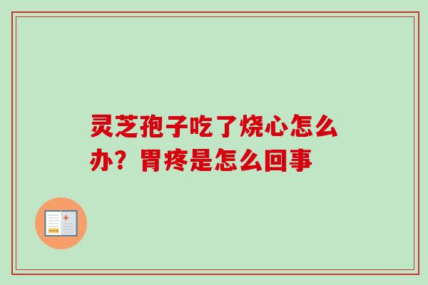 灵芝孢子吃了烧心怎么办?胃疼是怎么回事-第1张图片-卓越灵芝孢子粉 灵芝孢子吃了烧心怎么办?胃疼是怎么回事-第1张图片-卓越灵芝孢子粉