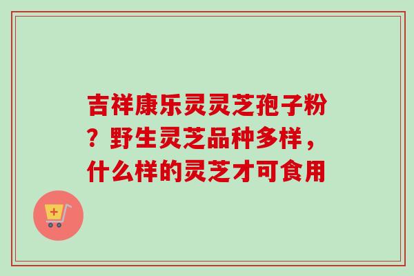 吉祥康乐灵灵芝孢子粉?野生灵芝品种多样,什么样的灵芝才可食用-第1张图片-卓越灵芝孢子粉 吉祥康乐灵灵芝孢子粉?野生灵芝品种多样,什么样的灵芝才可食用-第1张图片-卓越灵芝孢子粉