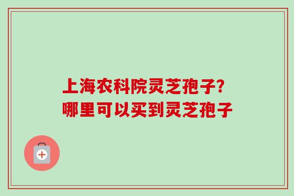 上海农科院灵芝孢子？哪里可以买到灵芝孢子-第1张图片-卓越灵芝孢子粉