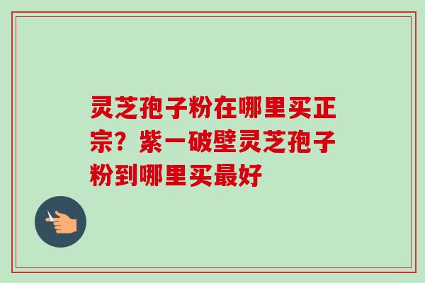 灵芝孢子粉在哪里买正宗?紫一破壁灵芝孢子粉到哪里买最好-第1张图片-卓越灵芝孢子粉 灵芝孢子粉在哪里买正宗?紫一破壁灵芝孢子粉到哪里买最好-第1张图片-卓越灵芝孢子粉