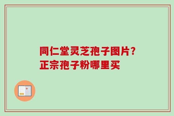 同仁堂灵芝孢子图片?正宗孢子粉哪里买-第1张图片-卓越灵芝孢子粉 同仁堂灵芝孢子图片?正宗孢子粉哪里买-第1张图片-卓越灵芝孢子粉
