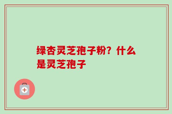 绿杏灵芝孢子粉？什么是灵芝孢子-第1张图片-卓越灵芝孢子粉