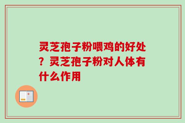 灵芝孢子粉喂鸡的好处?灵芝孢子粉对人体有什么作用-第1张图片-卓越灵芝孢子粉 灵芝孢子粉喂鸡的好处?灵芝孢子粉对人体有什么作用-第1张图片-卓越灵芝孢子粉
