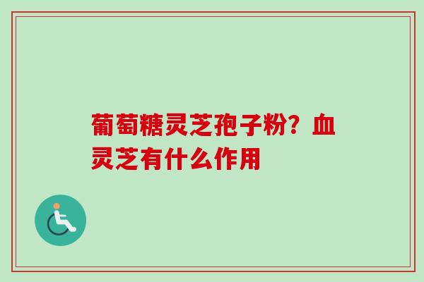 葡萄糖灵芝孢子粉？血灵芝有什么作用-第1张图片-卓越灵芝孢子粉