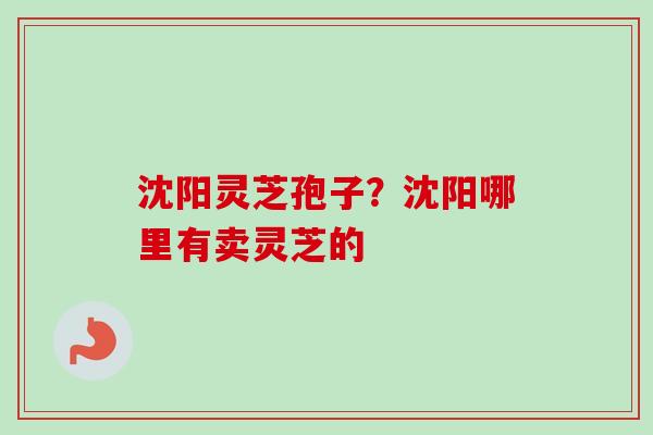 沈阳灵芝孢子？沈阳哪里有卖灵芝的-第1张图片-卓越灵芝孢子粉