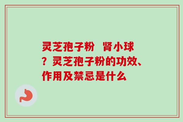 灵芝孢子粉 肾小球?灵芝孢子粉的功效、作用及禁忌是什么-第1张图片-卓越灵芝孢子粉 灵芝孢子粉 肾小球?灵芝孢子粉的功效、作用及禁忌是什么-第1张图片-卓越灵芝孢子粉