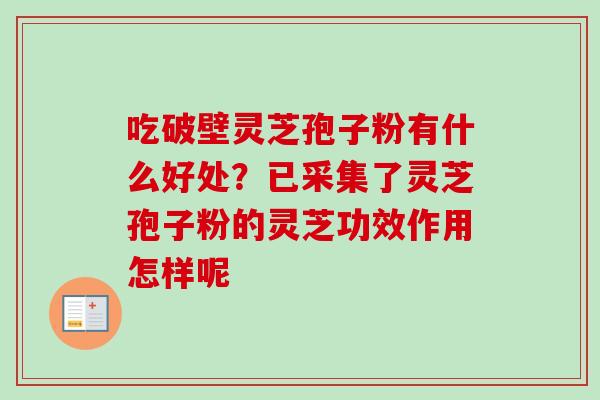 吃破壁灵芝孢子粉有什么好处？已采集了灵芝孢子粉的灵芝功效作用怎样呢-第1张图片-卓越灵芝孢子粉