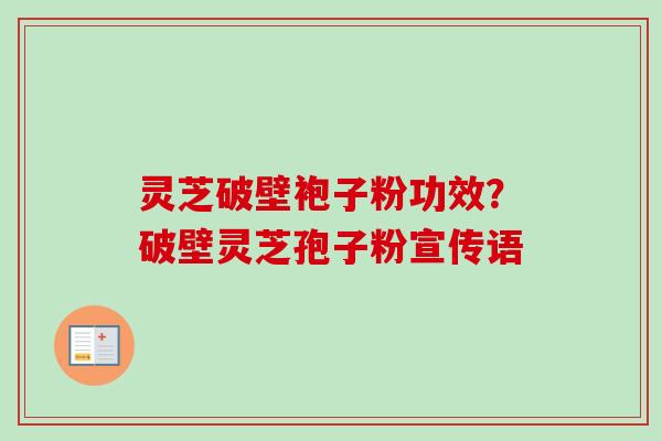 灵芝破壁袍子粉功效？破壁灵芝孢子粉宣传语-第1张图片-卓越灵芝孢子粉