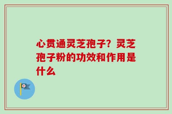 心贯通灵芝孢子？灵芝孢子粉的功效和作用是什么-第1张图片-卓越灵芝孢子粉