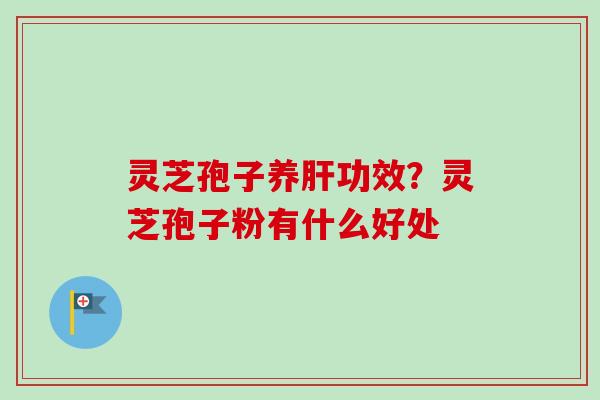 灵芝孢子养肝功效?灵芝孢子粉有什么好处-第1张图片-卓越灵芝孢子粉 灵芝孢子养肝功效?灵芝孢子粉有什么好处-第1张图片-卓越灵芝孢子粉