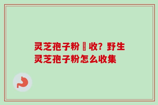 灵芝孢子粉採收?野生灵芝孢子粉怎么收集-第1张图片-卓越灵芝孢子粉 灵芝孢子粉採收?野生灵芝孢子粉怎么收集-第1张图片-卓越灵芝孢子粉