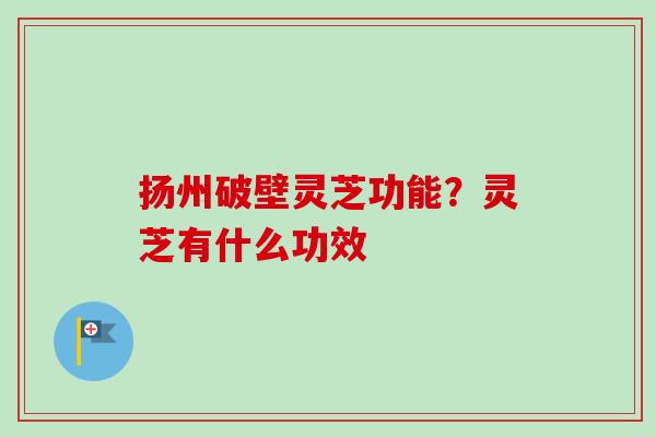 扬州破壁灵芝功能？灵芝有什么功效-第1张图片-卓越灵芝孢子粉