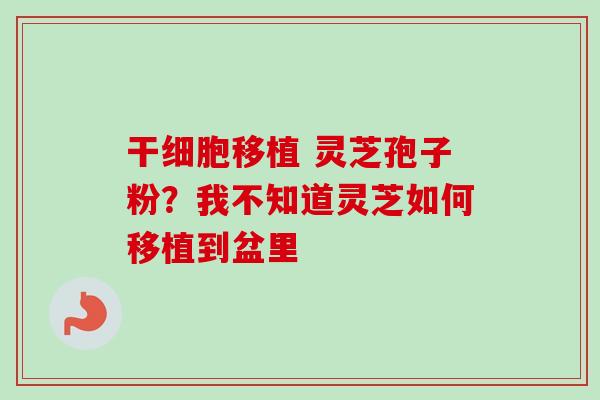 干细胞移植 灵芝孢子粉?我不知道灵芝如何移植到盆里-第1张图片-卓越灵芝孢子粉 干细胞移植 灵芝孢子粉?我不知道灵芝如何移植到盆里-第1张图片-卓越灵芝孢子粉