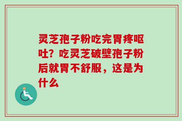 灵芝孢子粉吃完胃疼呕吐？吃灵芝破壁孢子粉后就胃不舒服，这是为什么-第1张图片-卓越灵芝孢子粉