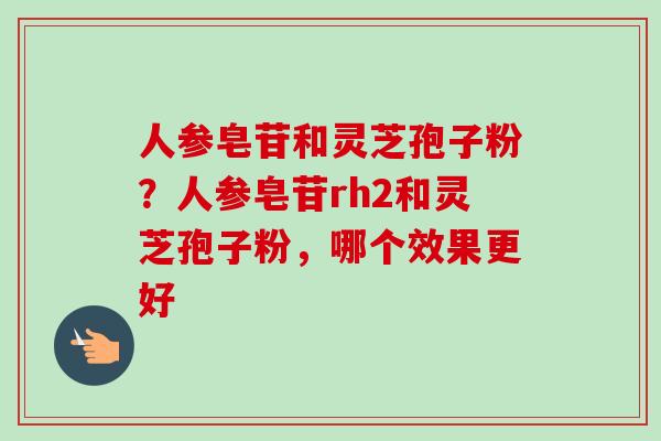 人参皂苷和灵芝孢子粉?人参皂苷rh2和灵芝孢子粉,哪个效果更好-第1张图片-卓越灵芝孢子粉 人参皂苷和灵芝孢子粉?人参皂苷rh2和灵芝孢子粉,哪个效果更好-第1张图片-卓越灵芝孢子粉