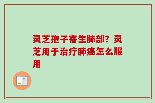 灵芝孢子寄生肺部?灵芝用于治疗肺癌怎么服用-第1张图片-卓越灵芝孢子粉 灵芝孢子寄生肺部?灵芝用于治疗肺癌怎么服用-第1张图片-卓越灵芝孢子粉