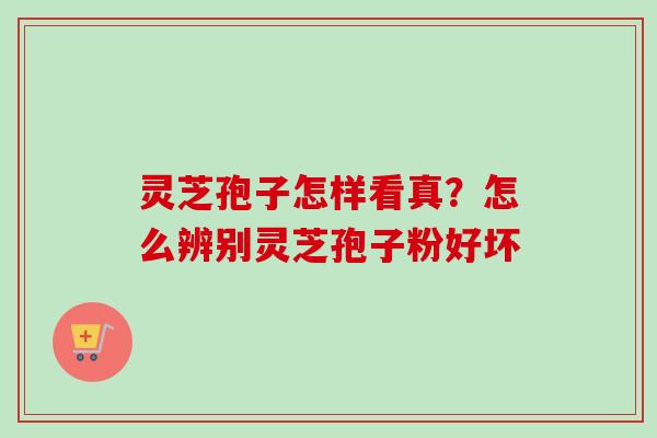 灵芝孢子怎样看真？怎么辨别灵芝孢子粉好坏-第1张图片-卓越灵芝孢子粉