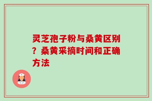 灵芝孢子粉与桑黄区别？桑黄采摘时间和正确方法-第1张图片-卓越灵芝孢子粉
