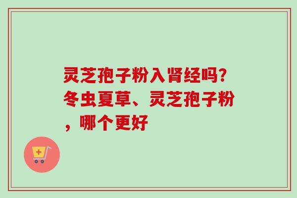 灵芝孢子粉入肾经吗?冬虫夏草、灵芝孢子粉,哪个更好-第1张图片-卓越灵芝孢子粉 灵芝孢子粉入肾经吗?冬虫夏草、灵芝孢子粉,哪个更好-第1张图片-卓越灵芝孢子粉