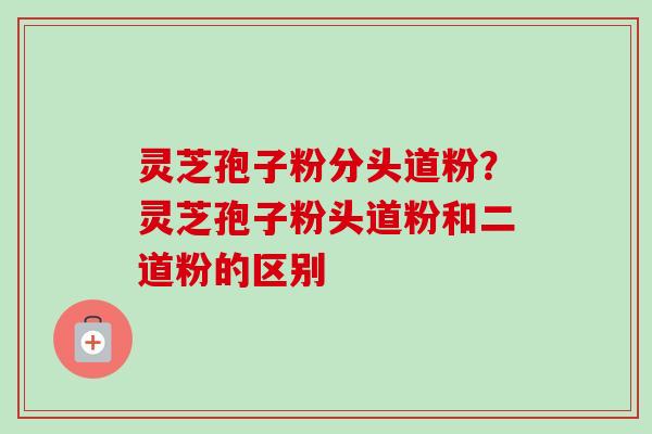 灵芝孢子粉分头道粉？灵芝孢子粉头道粉和二道粉的区别-第1张图片-卓越灵芝孢子粉