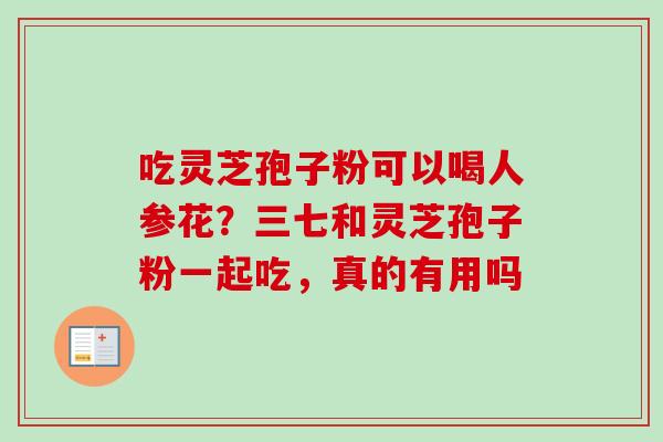 吃灵芝孢子粉可以喝人参花？三七和灵芝孢子粉一起吃，真的有用吗-第1张图片-卓越灵芝孢子粉