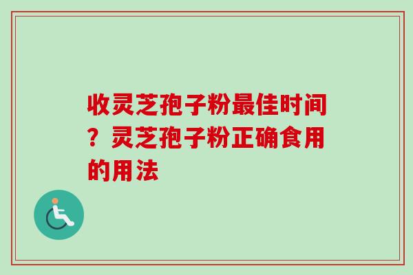 收灵芝孢子粉最佳时间？灵芝孢子粉正确食用的用法-第1张图片-卓越灵芝孢子粉